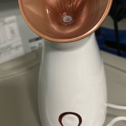 Facial Steamer New