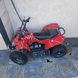 Electric Kids Quad