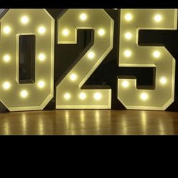 3ft Marquee Numbers ($25 Each)