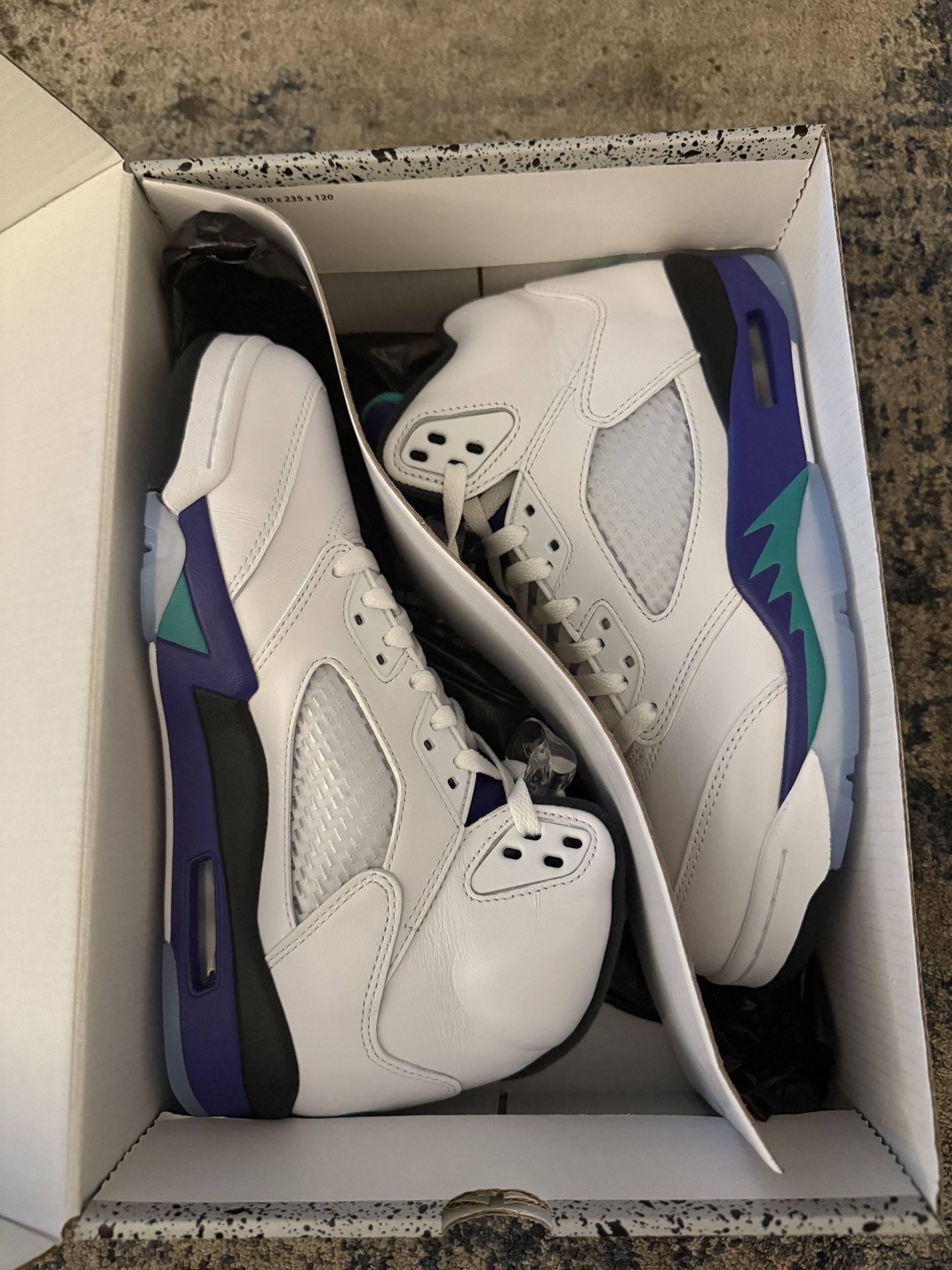 Jordan 5 Grape 2025