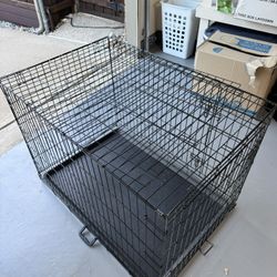 Dog Kennel