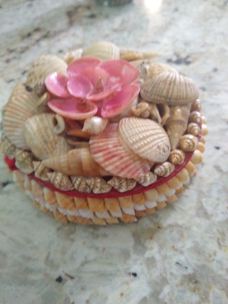 Beautiful Seashells Box + 2 FREE Gifts Deal!!
