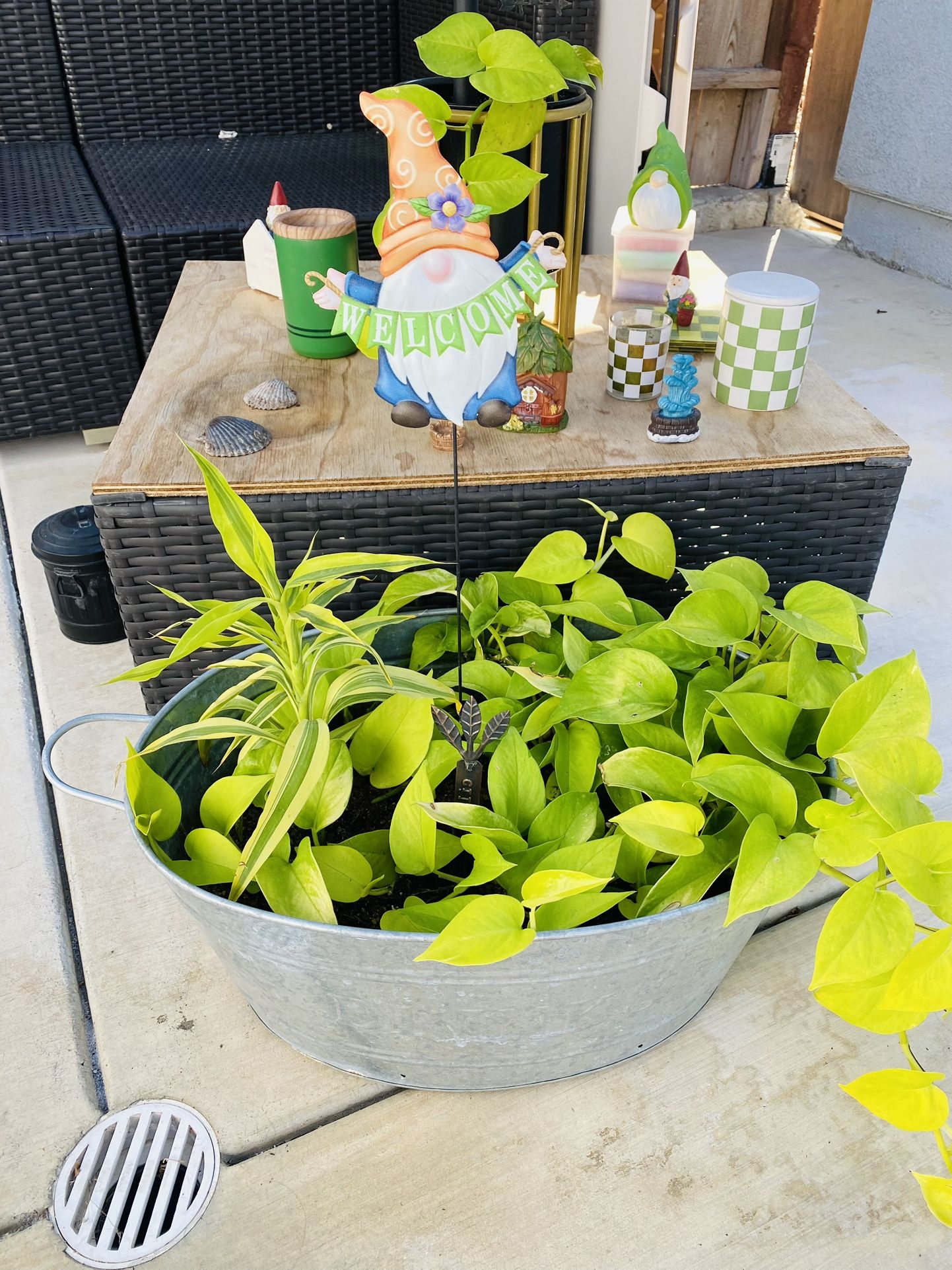 Plants