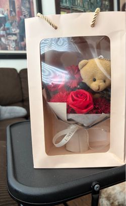 Love is Eternal Bear in Bag