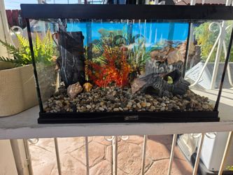 10 gallon Tank