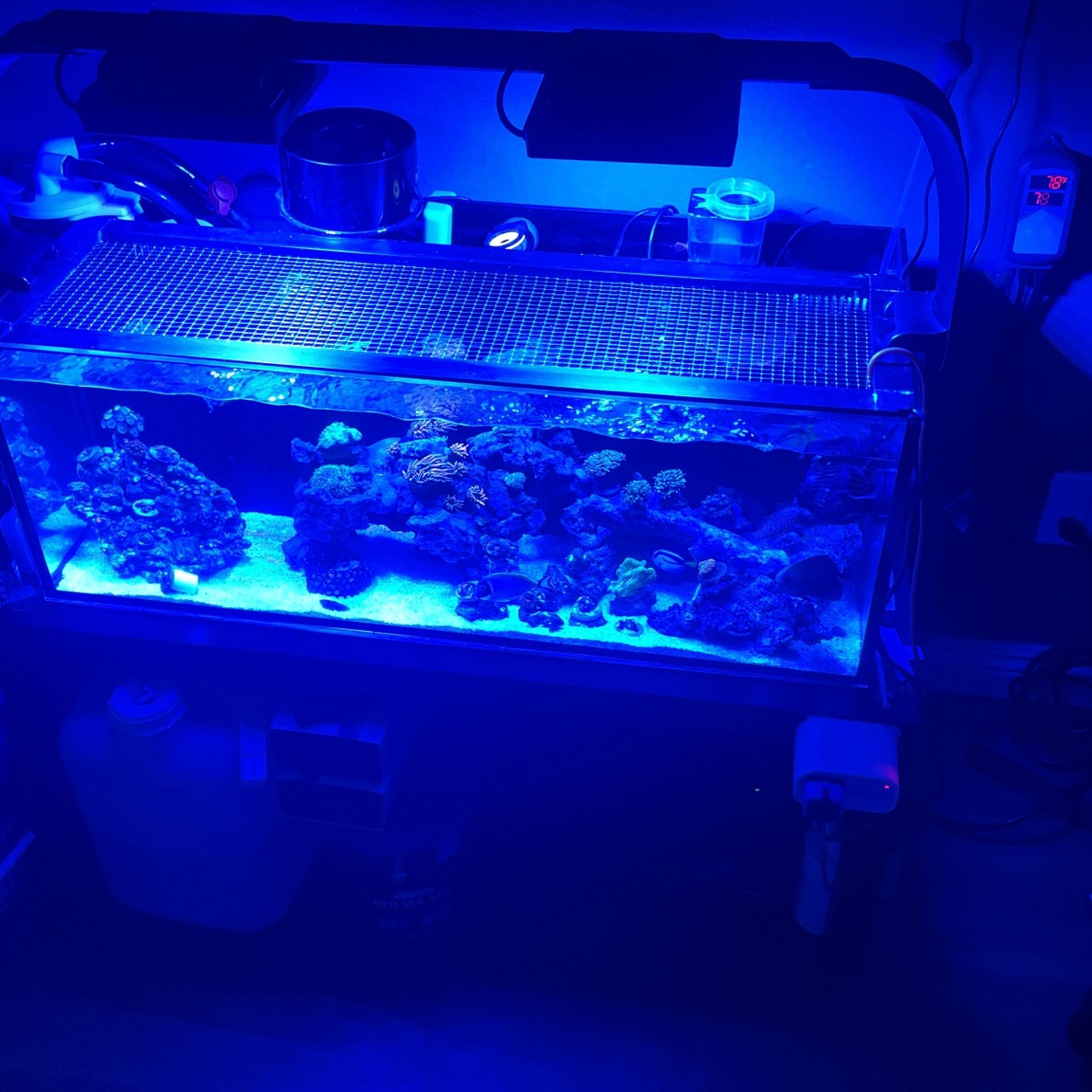 Fish Tank 