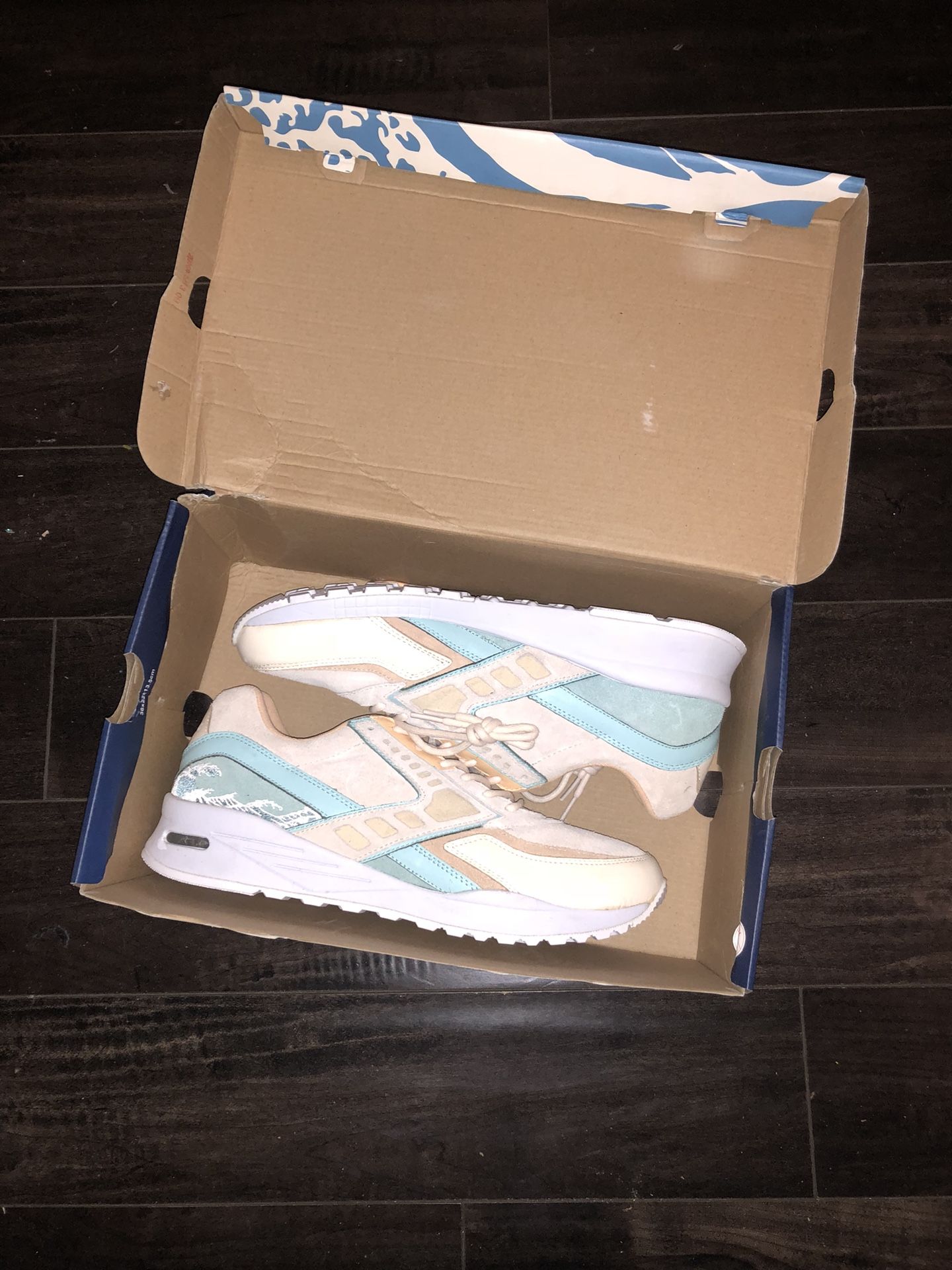 Pink Dolphin Brooks running shoes (limited edition) sz 12