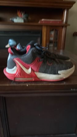 LeBron’s size 8.5