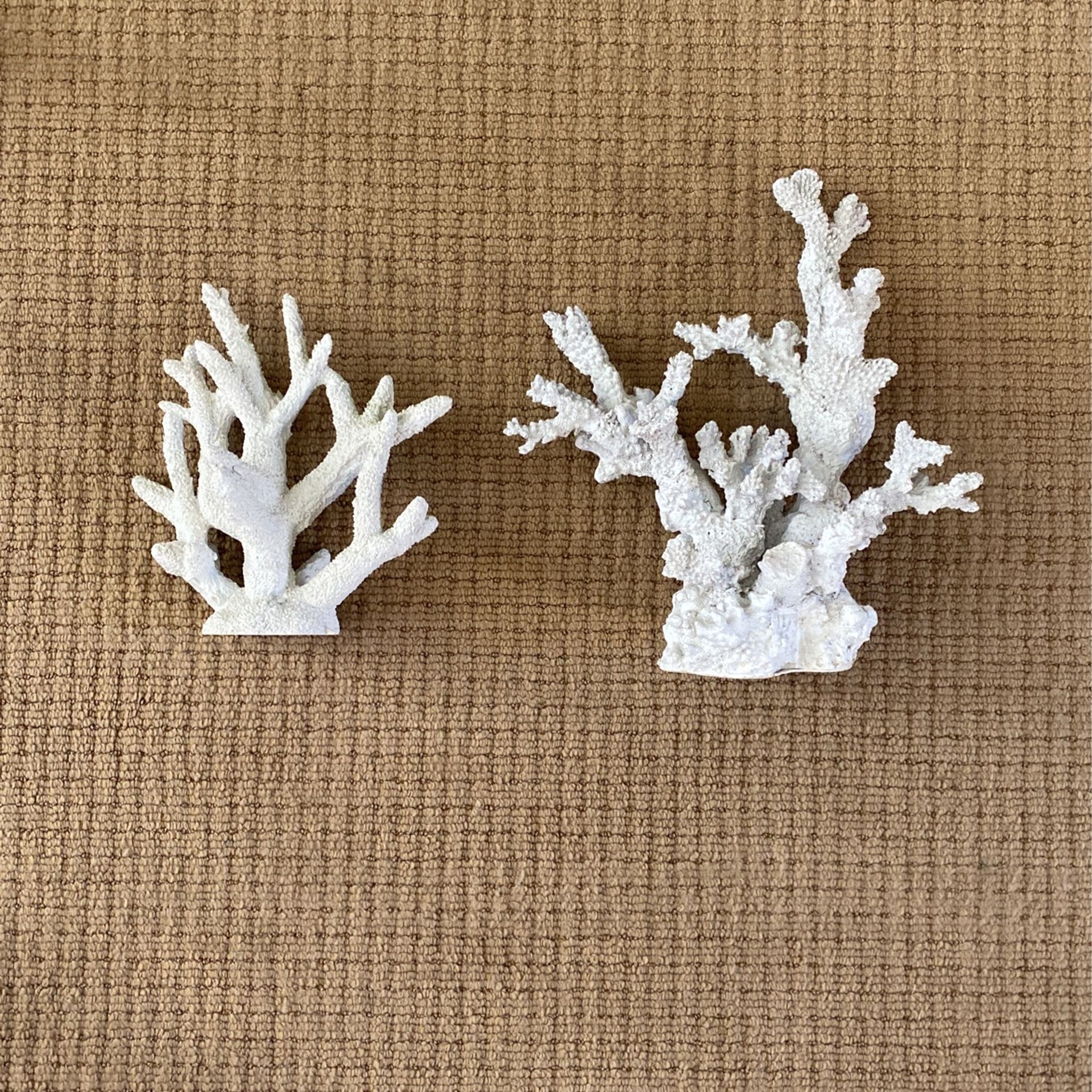 Fake White Coral 5$ Each