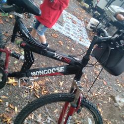 29i. Mongoose 