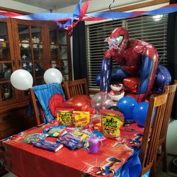 Spiderman Birthday Decorations 