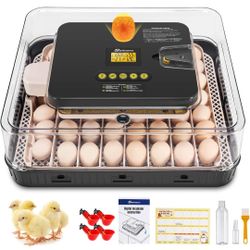 56 eggs digital incubator for chicken eggs