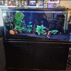 100 gal VISIO TANK