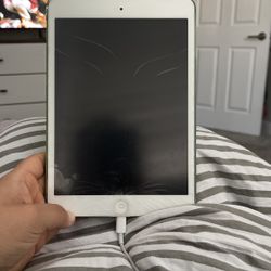 iPad Mini 
