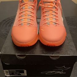 Nike Lebron 19 Low “Hawaii” (11.5)