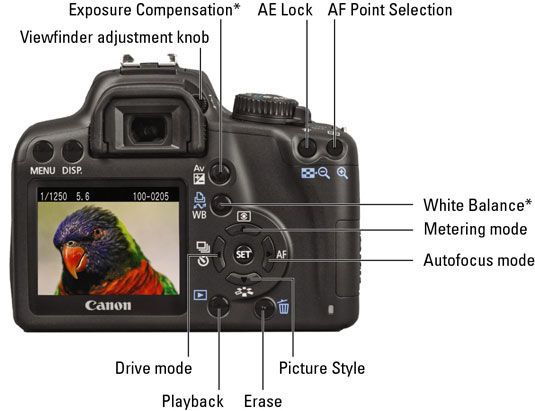 Camera EOS Rabel T1i/ EOS 15.1MP digital SLR camera W/ 18-55 mm EFS kit.
