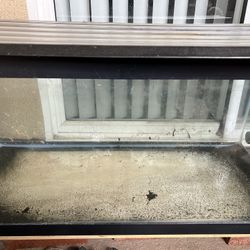 40 Gallon Long Aquarium Tank