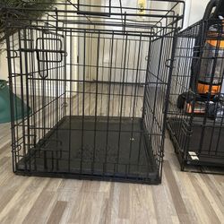 Dog Kennels 