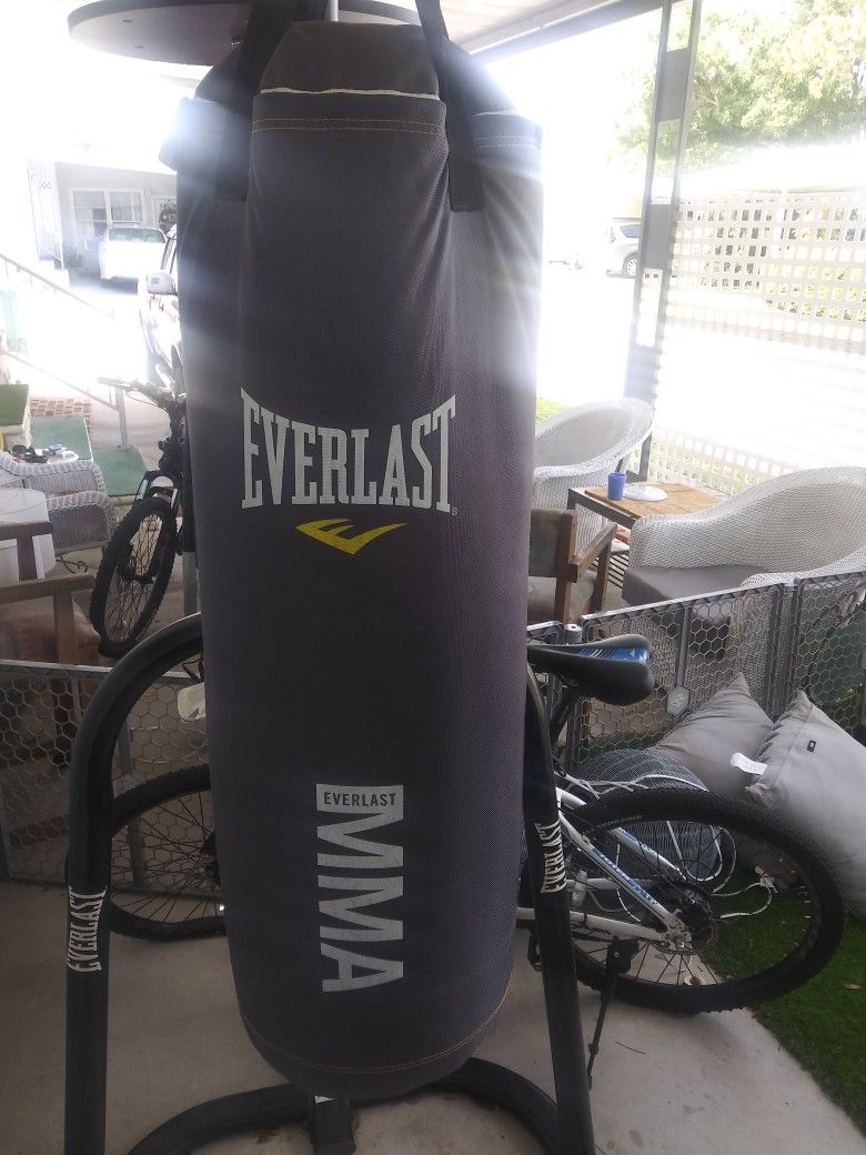Heavy Bag With Stand And Speed Bag, Gloves Matt Included