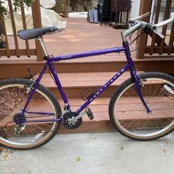 Gary fisher mountain bike