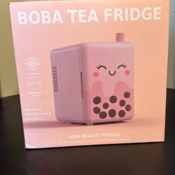 Mini Fridge 