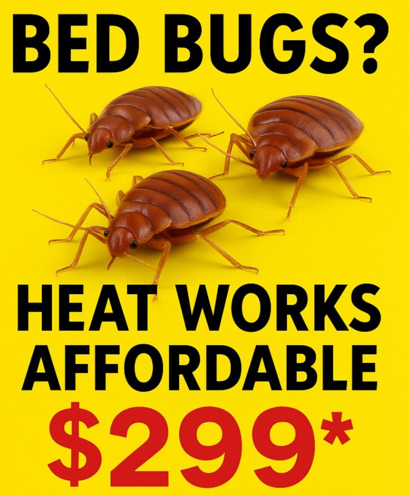 Bed Bug Heater
