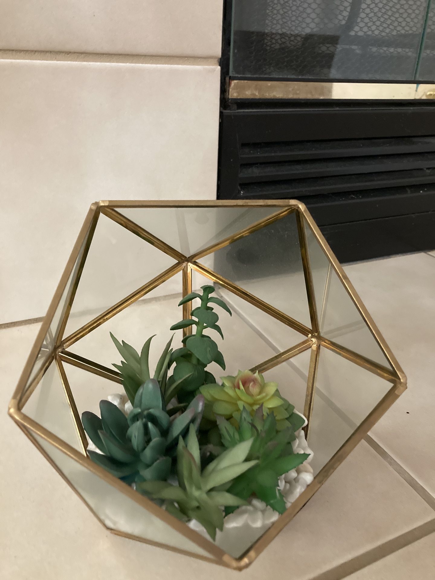 Decor Succulent