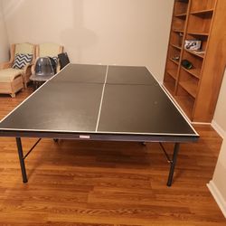 Ping Pong Table