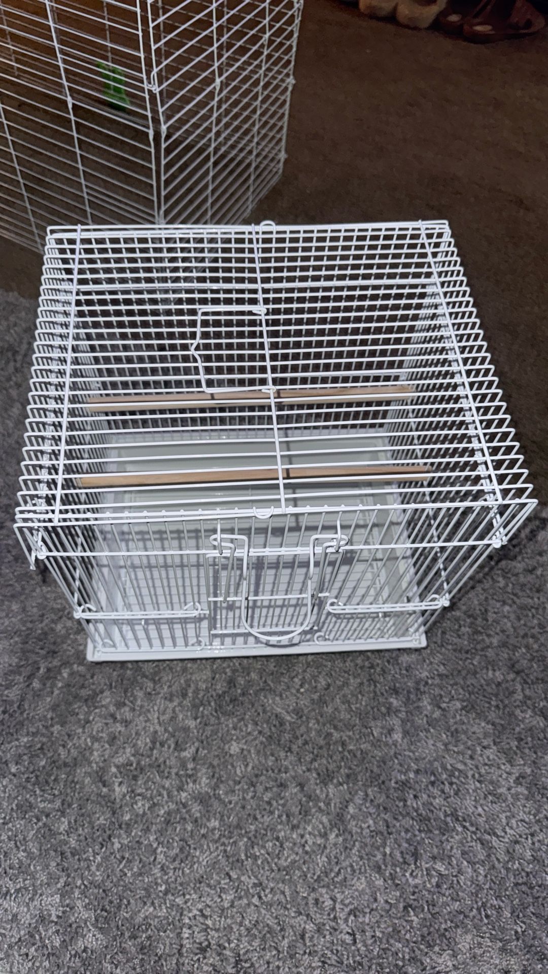 Brand new buggie parakeet cage With food and treats