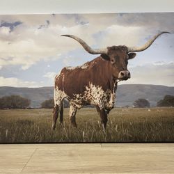 Canvas Wall Decor Longhorn Cattle Cow Art 