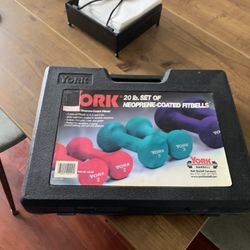 Dumb Bell 20 Lb Set With Case