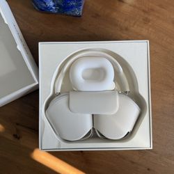 Airpod Maxes Grey