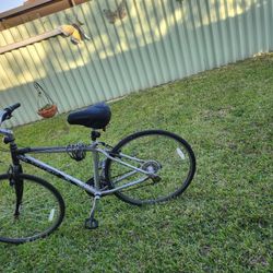 Michelob Ultra Trek 28" Bike