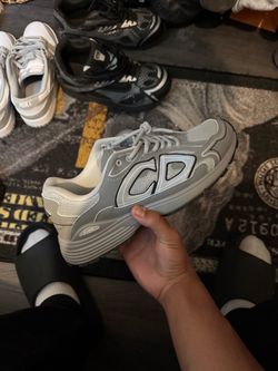 Dior B30 Sneakers Gray