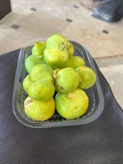 Fig fruit
