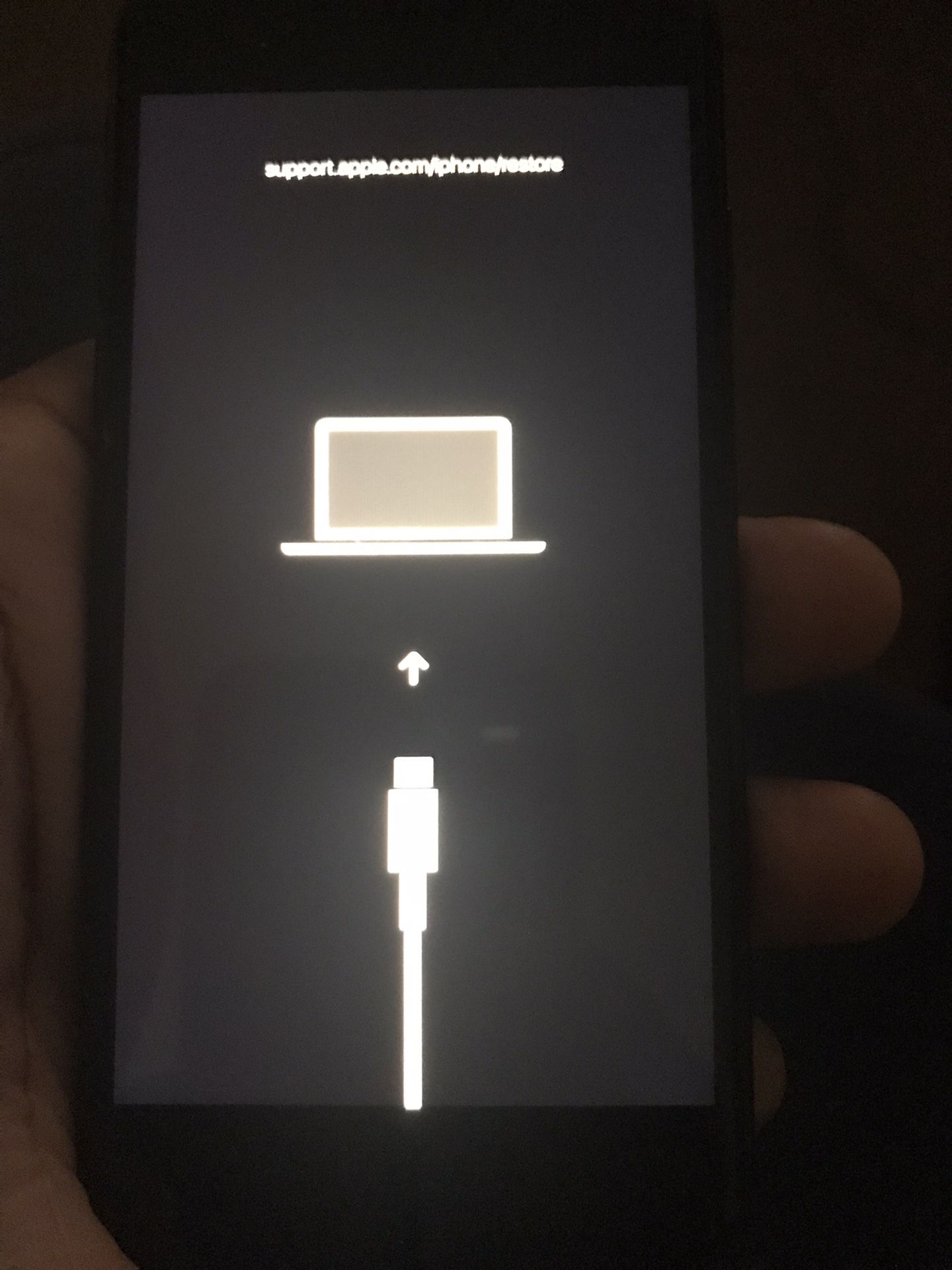 iPhone 7