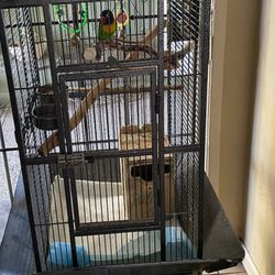 Bird Cage/ Jaula