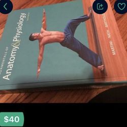 Anatomy And Physiology 