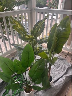 Luxury Faux Plants