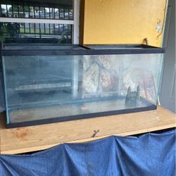 55” Fish Tank 