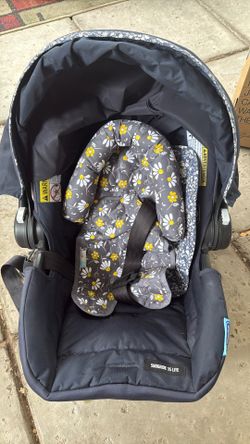 Baby Rear facing Car Seater