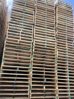 All Types Of Pallets Available For Sale & Delivery