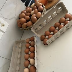 Fresh Organic Eggs 