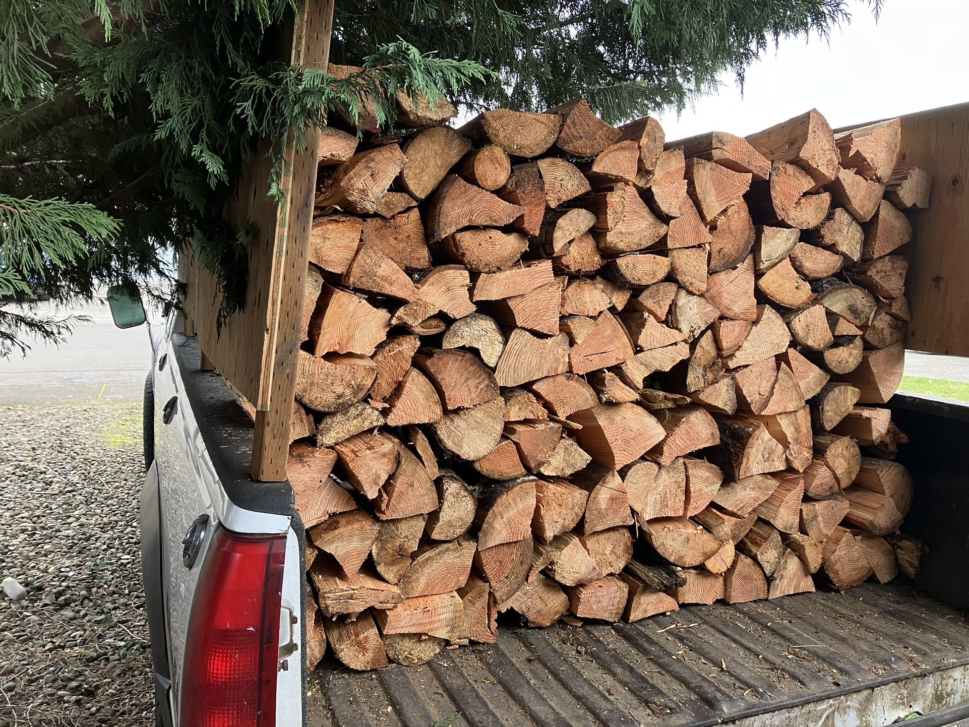 Firewood Seasoned Fir 16” Cut And Free Delivery