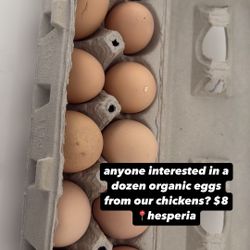 Organic Eggs