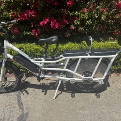 RadWagon 4 Rad Power E-Bike