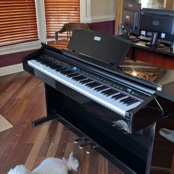 Piano | Williams Overture 2 | Electric 
