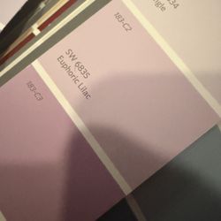1 Gallon Paint Euphoric Lilac 