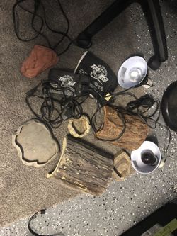 Reptile Living Environment