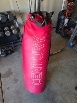 100 lbs. Punching bag.